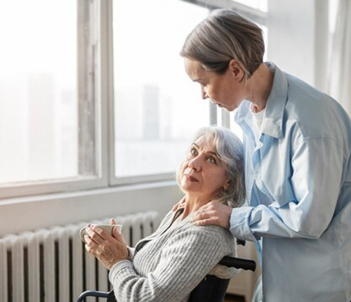 domestic-assistance-img02